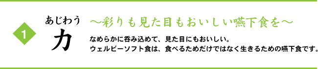 あじわう力 ～彩りも見た目もおいしい嚥下食を～ なめらかに呑み込めて、見た目にもおいしい。ウェルビーソフト食は、食べるためだけではなく生きるための嚥下食です。